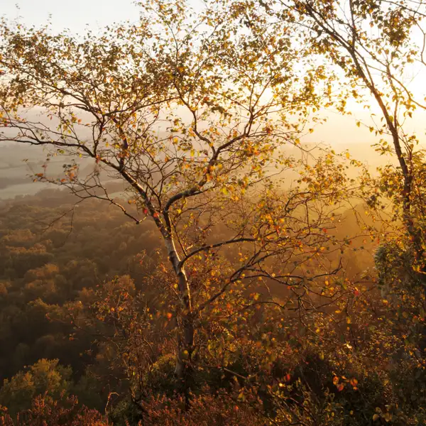 October Light