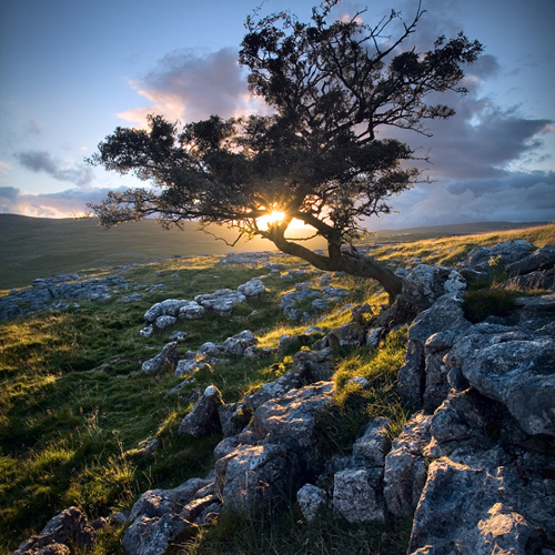 Safe until the darkness falls ...: Safe until the darkness falls ...