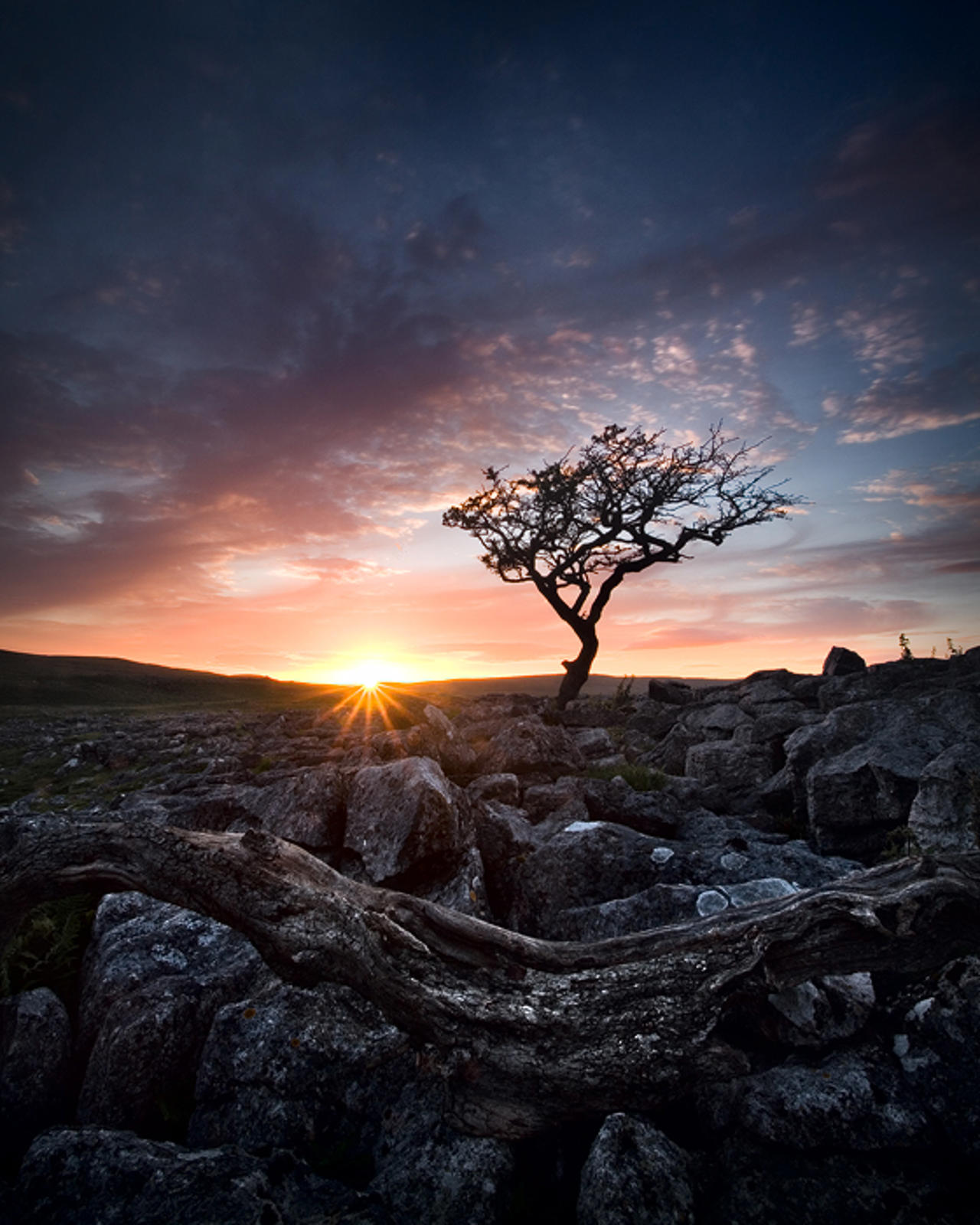 Fading like sunset sky