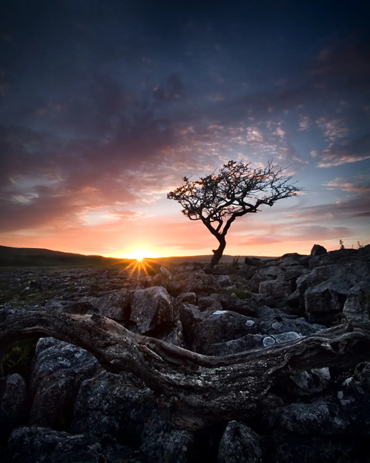 Fading like sunset sky