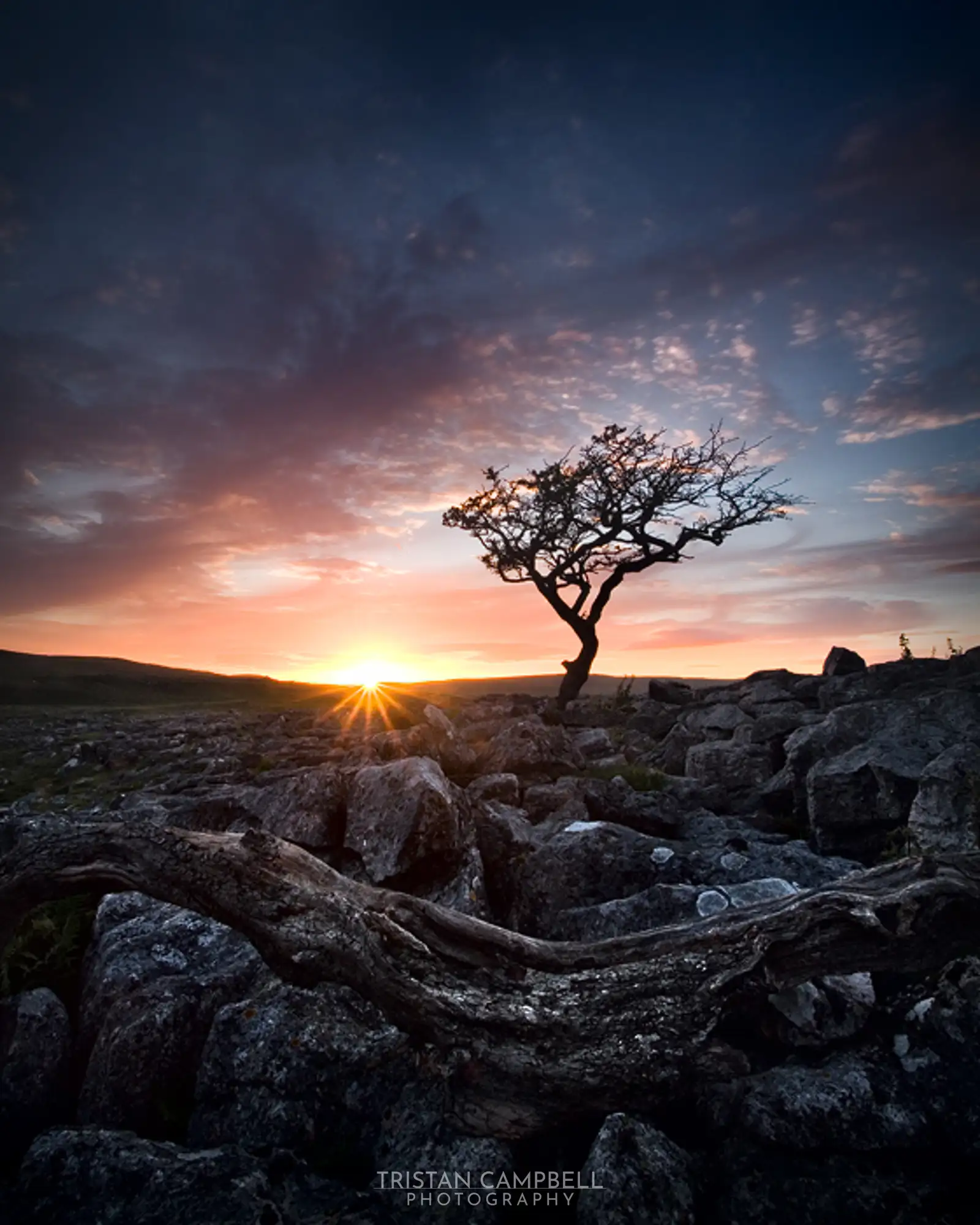 Fading like sunset sky