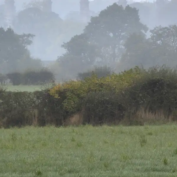 Crimple Valley Autumn Walk