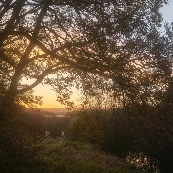Fewston Autumn
