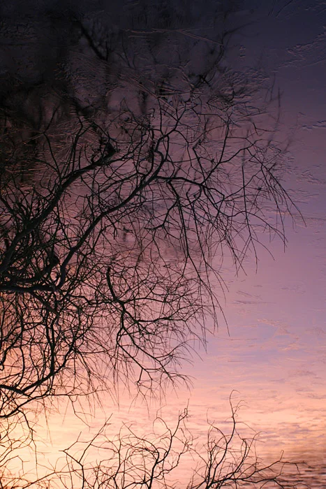 reflections