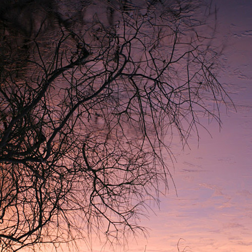 reflections: reflections