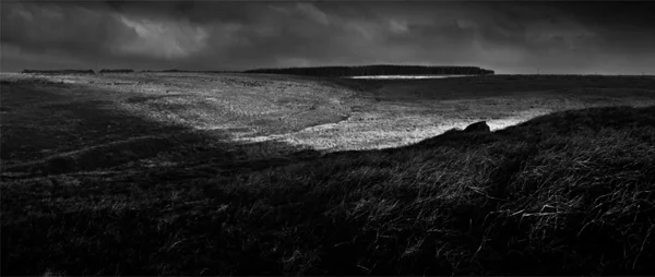 Whit Moor