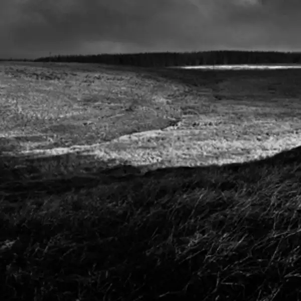 Whit Moor