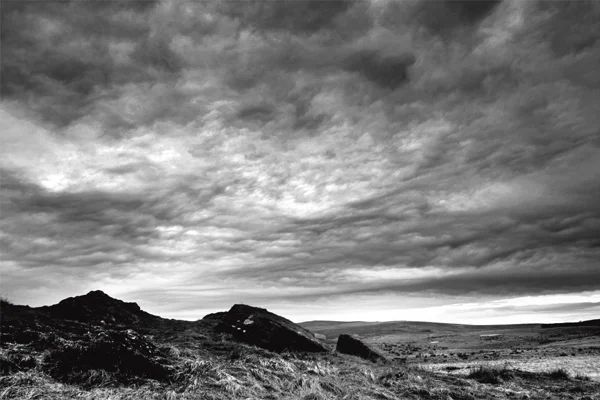 Whit moor