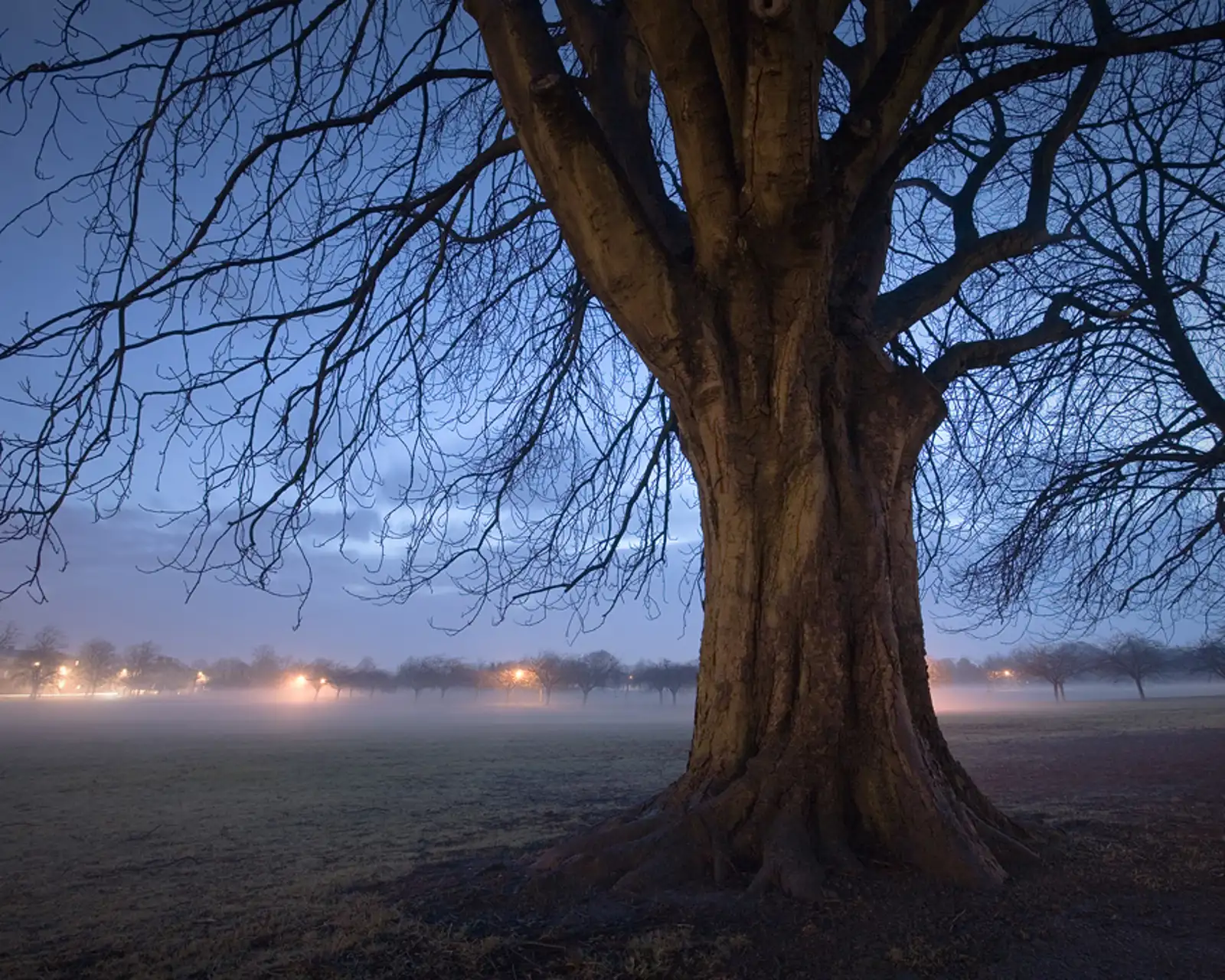 The Stray, Harrogate