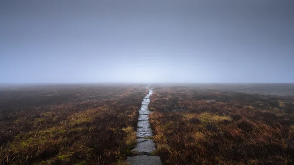 A narrow stone path winds through a misty moorland, surrounded by brown and green grass. The sky is overcast with dense fog obscuring the horizon, creating a mysterious atmosphere.