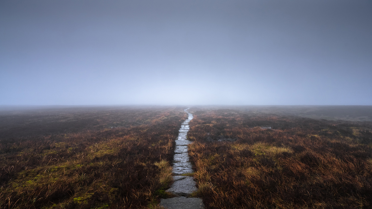 Nestled in North Yorkshire, a solitary pathway cuts through a moorland swathed in mist. The weathered path, bordered by tufts of russet grasses, stretches into an opaque horizon, evoking a serene, mystical ambiance under a soft, overcast sky. a river running through a grassy area