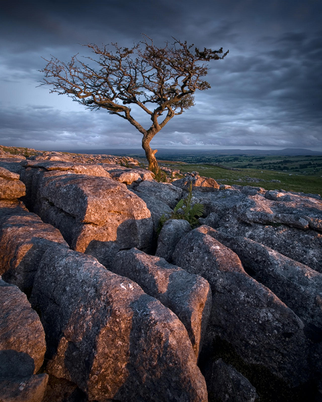 The Beauty Of It All