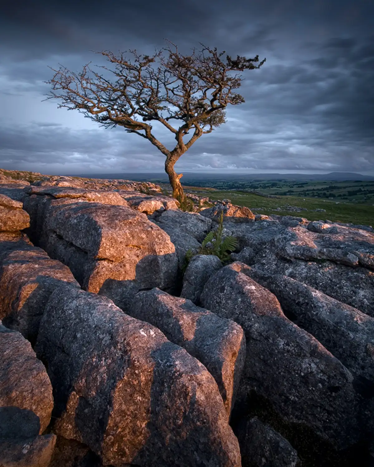 The Beauty Of It All