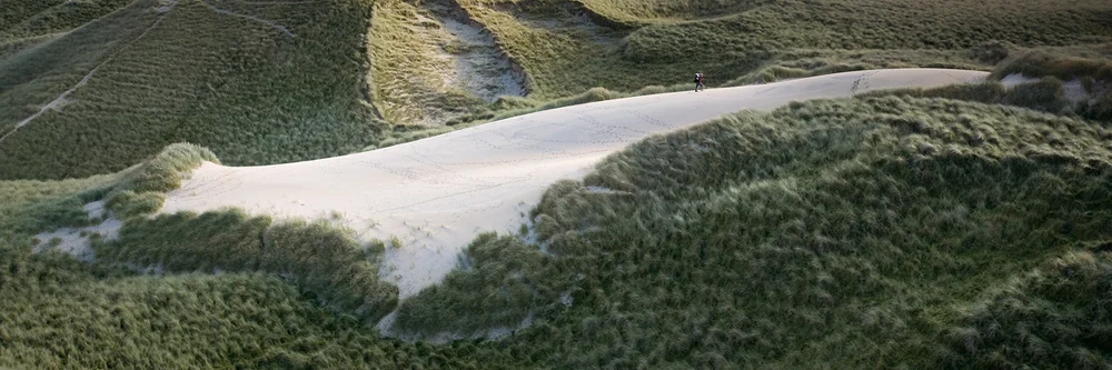 Marram grass and sand dunes