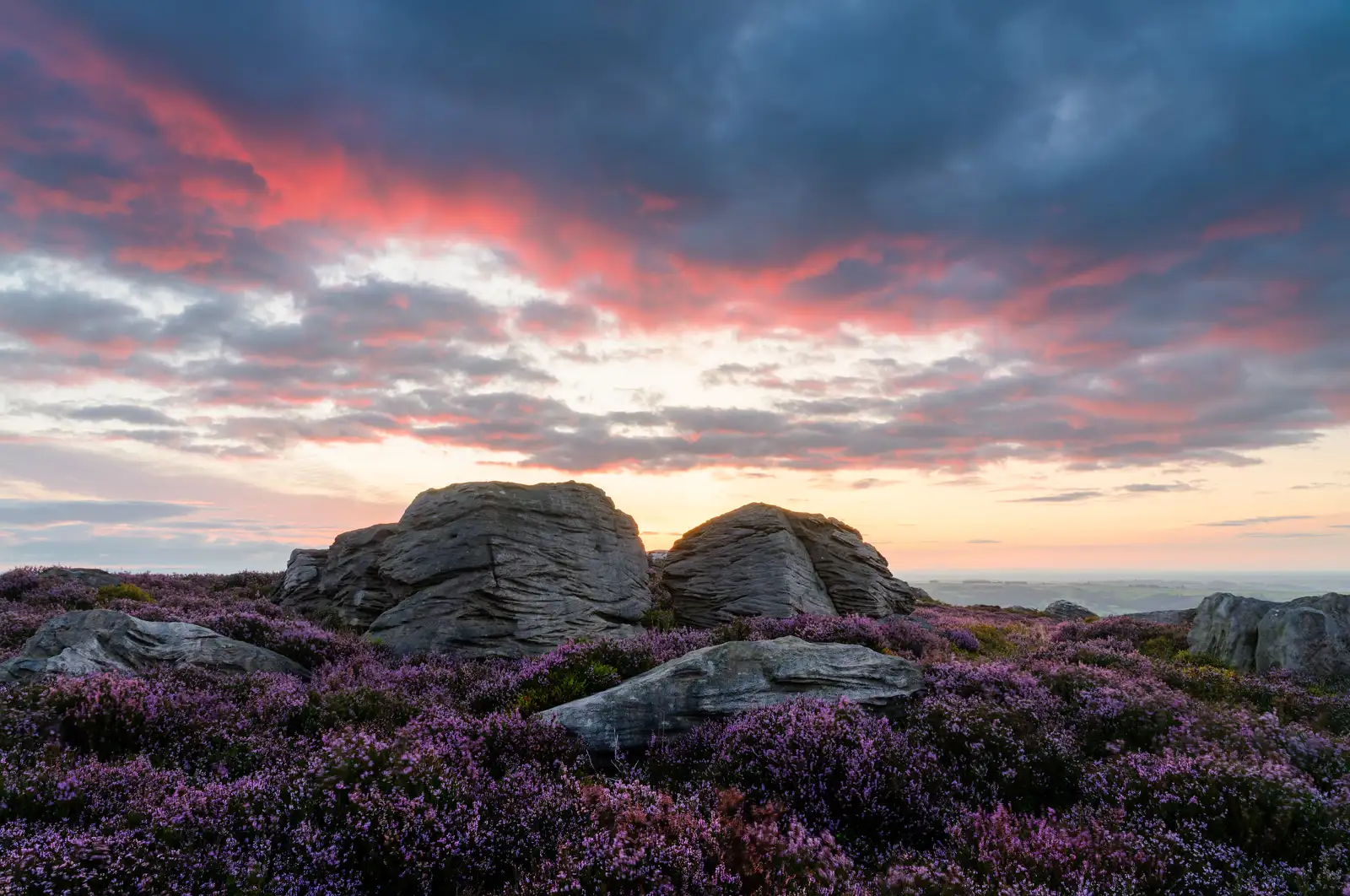 Rocky landscape with large boulders surrounded by blooming purple heather under a dramatic sunset sky. Clouds are tinged with red and pink hues, contrasting with the fading light on the horizon.
