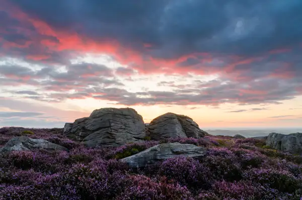 Rocky landscape with large boulders surrounded by blooming purple heather under a dramatic sunset sky. Clouds are tinged with red and pink hues, contrasting with the fading light on the horizon.