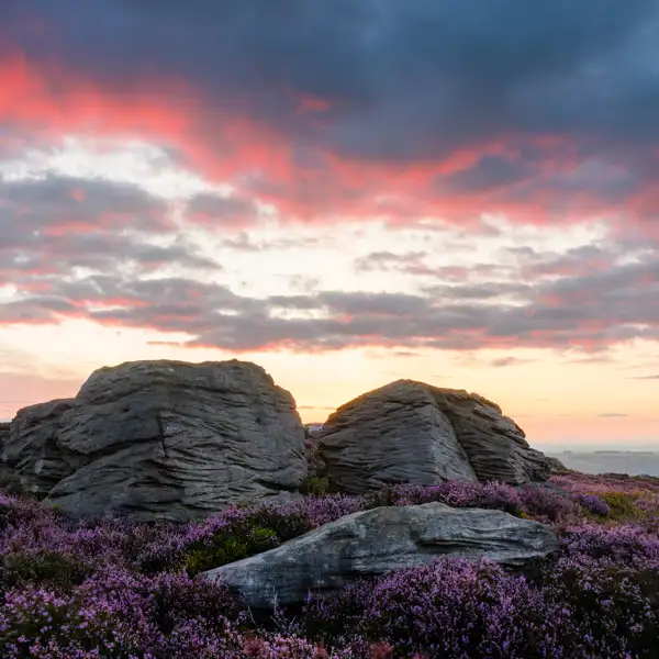 Moorland Light