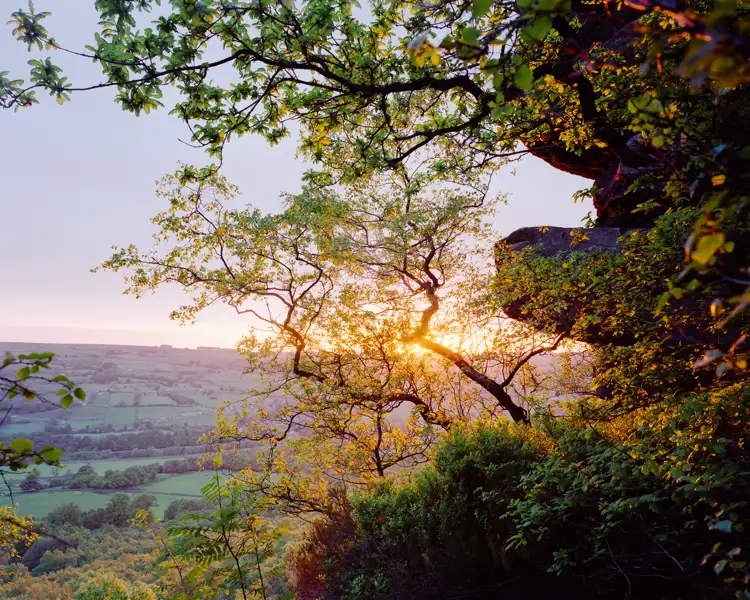 Cliff Edge Dawn Tree 5K 10Mic Crop
