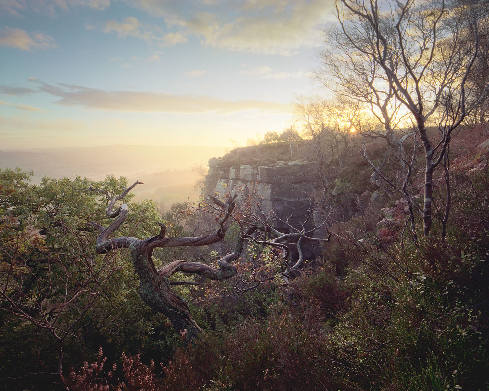 Twisted, leafless trees frame a rocky cliff at sunrise, with a soft golden light illuminating the scene. The sky is partly cloudy, with hints of blue and warm tones, casting a serene atmosphere over the natural landscape.