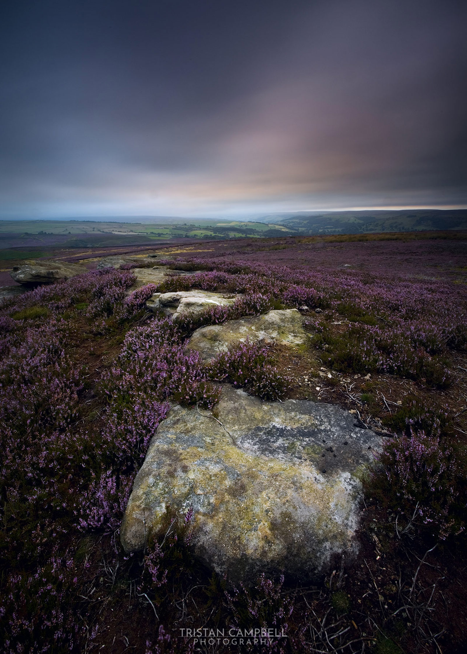 Heather-covered moorland with large, weathered boulders in the foreground. The sky is overcast with subtle pink and blue hues, and a distant landscape of rolling green hills is visible on the horizon.