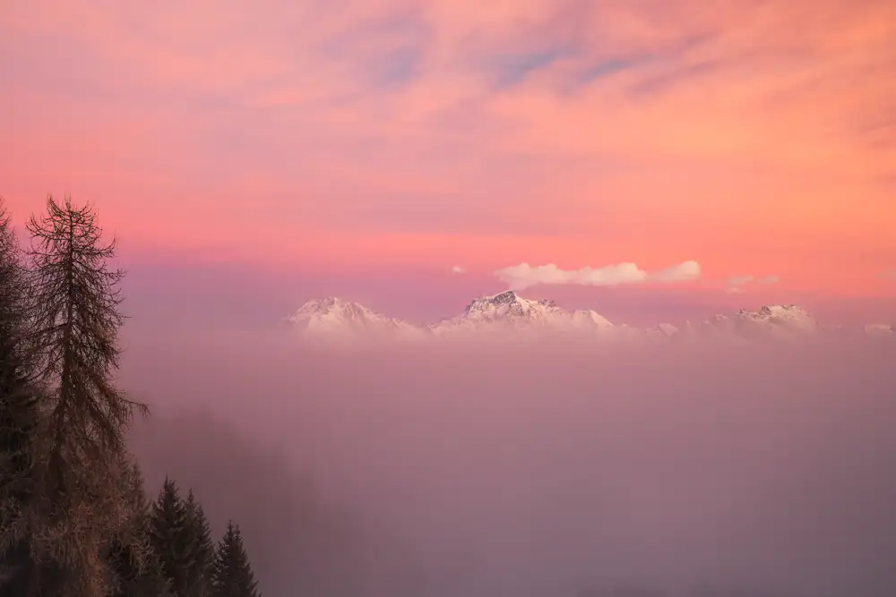 Snow-capped mountains partially obscured by mist, beneath a sky filled with soft pink and orange tones, suggesting either sunrise or sunset. Bare trees and conifers are silhouetted in the foreground.