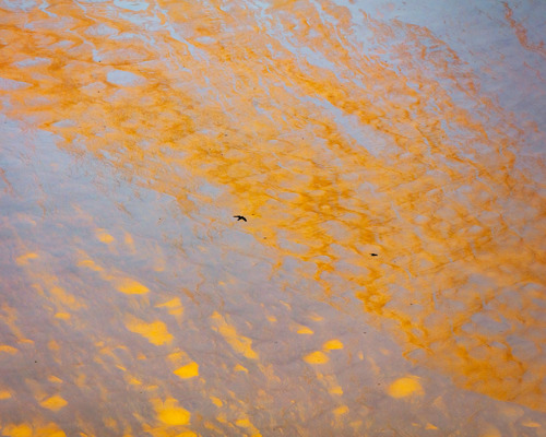 Reflections:  a close up of a surface