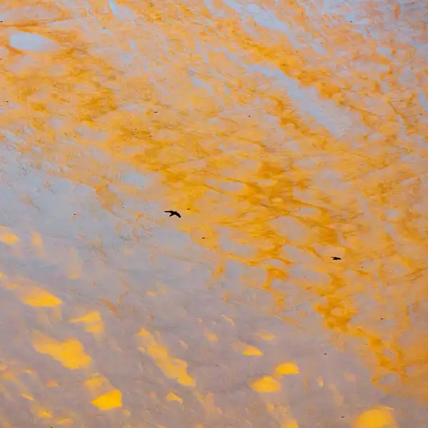 Coastal Reflections