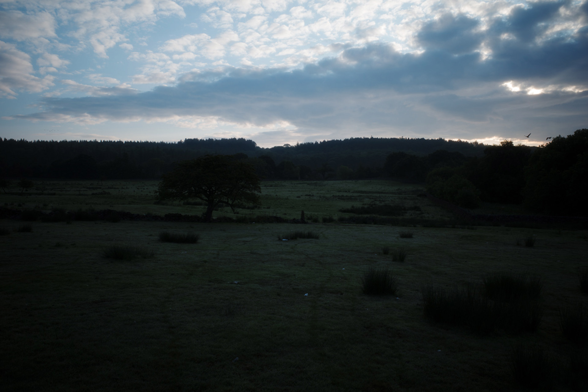 Ricoh GRIII HDF under exposed for highlights