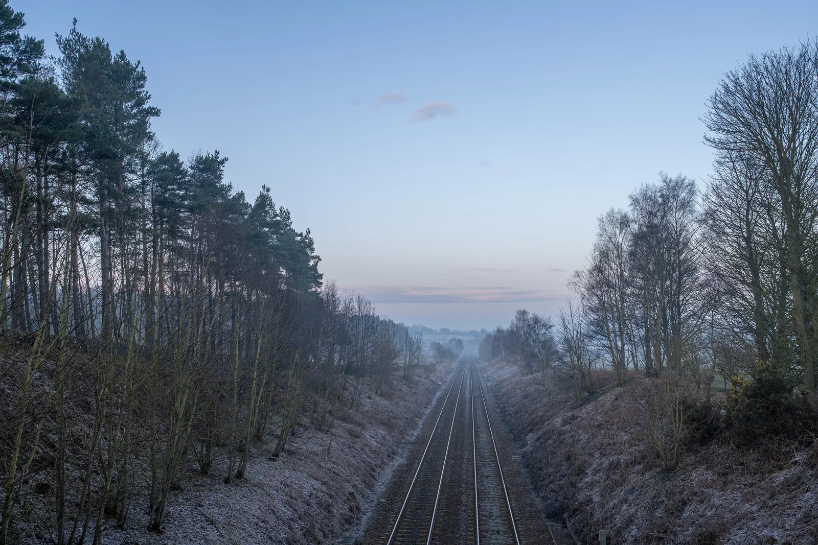 Railway tracks leading through frosty woodland cutting towards a misty horizon at dawn in winter