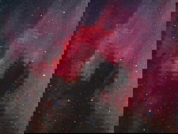 a star filled sky