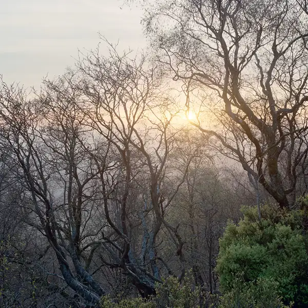 Distant sunrise