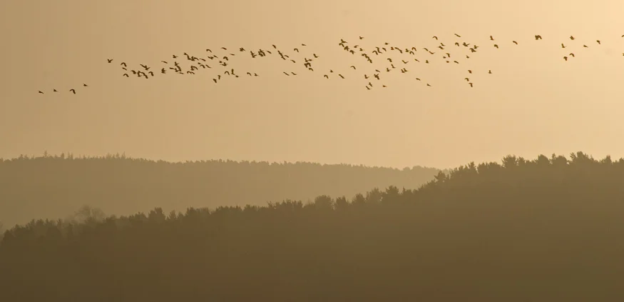 Dawn at Fewston