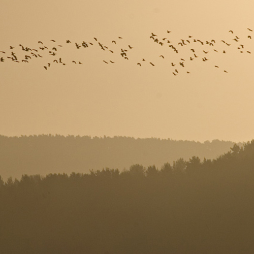 Dawn at Fewston: Dawn at Fewston