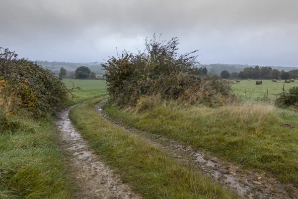 Muddy farm track winding between hedgerows past green fields and hay bales under a grey misty autumn sky