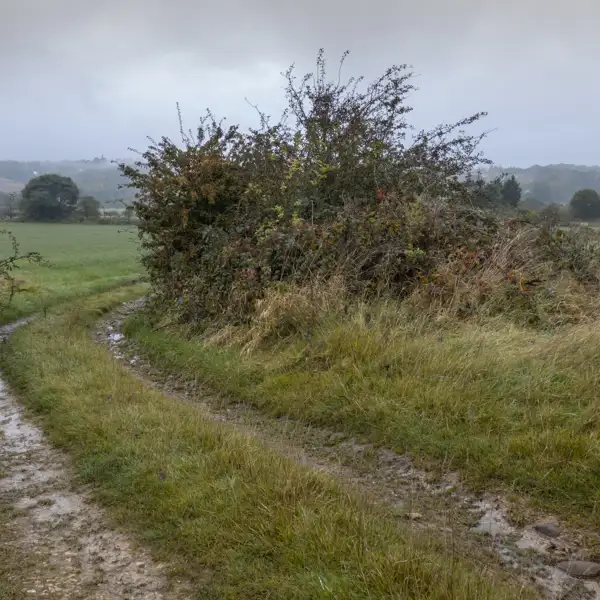 Crimple Valley Autumn Walk