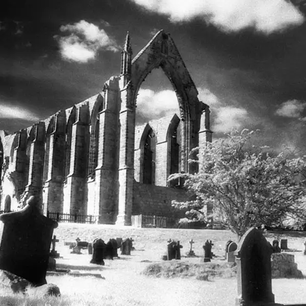 Bolton Abbey