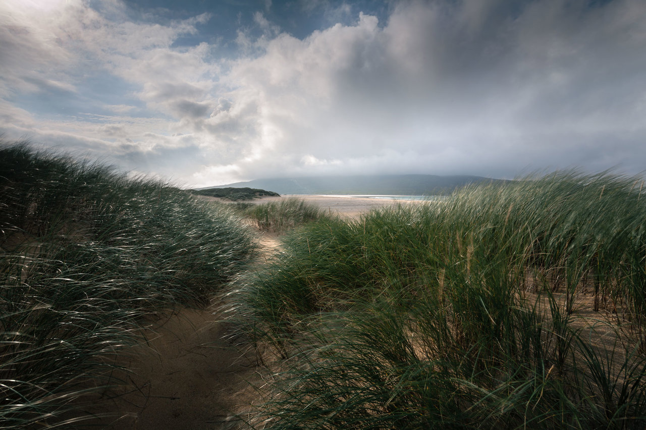Rolling sand dunes covered with tall, green grasses sway in the foreground, leading to a distant sandy beach under a dramatic, cloudy sky. Shafts of sunlight break through the clouds, illuminating parts of the landscape. A vast expanse of water and a distant, misty hillside are visible on the horizon.