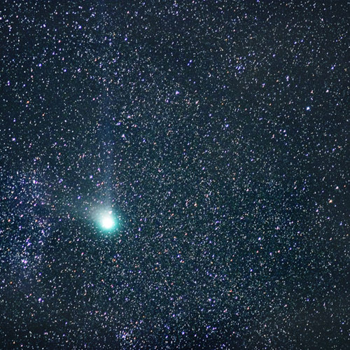 Comet Machholz : Comet Machholz 
