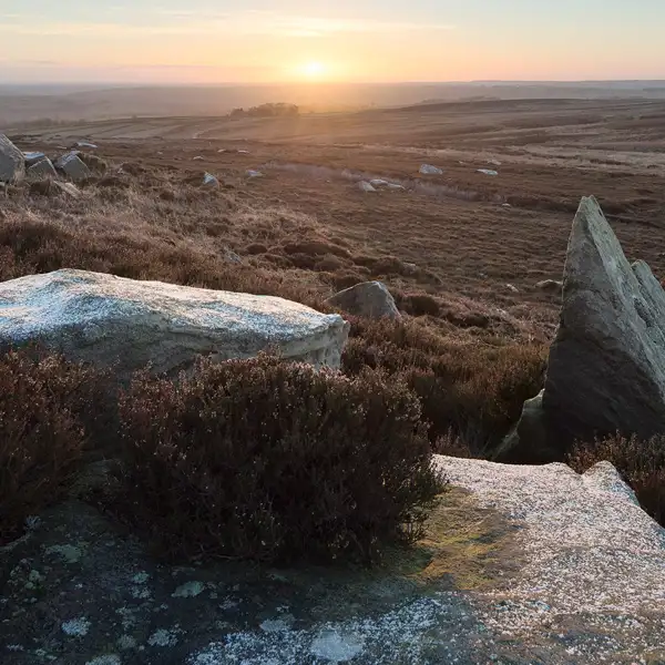 Moorland frost