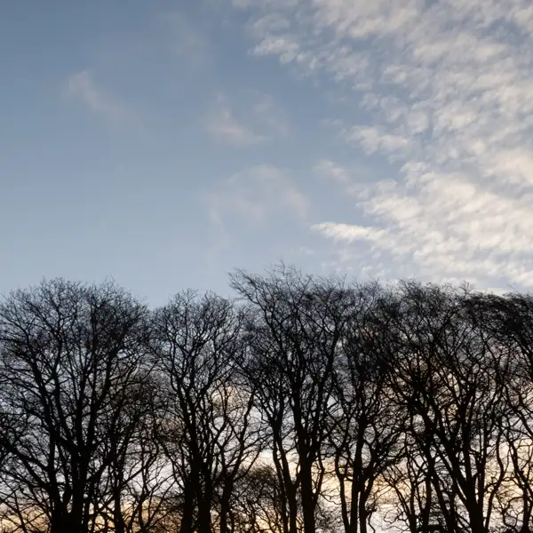 Murky morning brightens