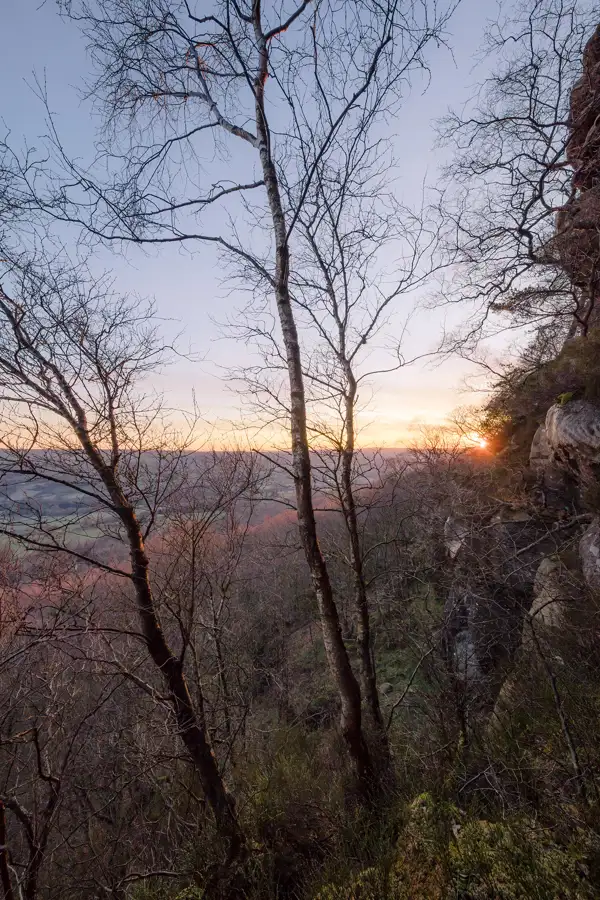 Bare trees with intricate branches silhouetted against a soft pastel sky at sunset. The sun peeks through the trees, casting a warm glow over the distant landscape of rolling hills. Rocky outcrops are visible on the right, adding texture to the serene scene.