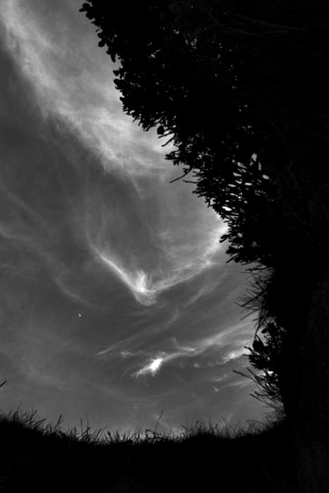Daytime moon