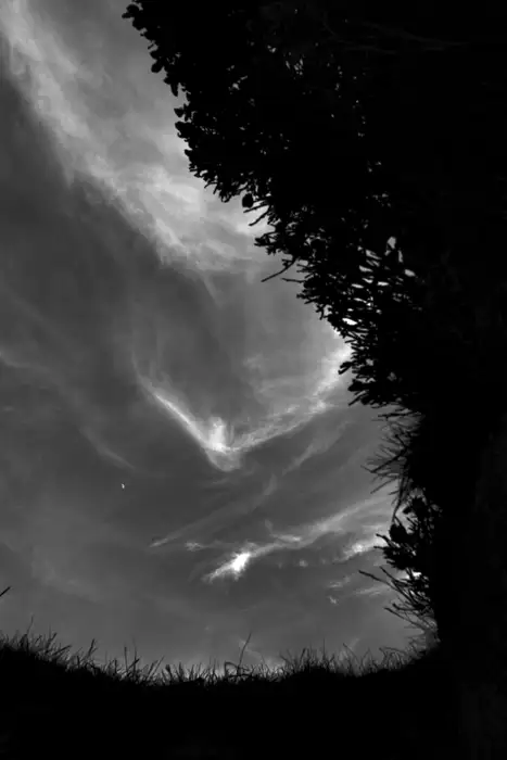 Daytime moon