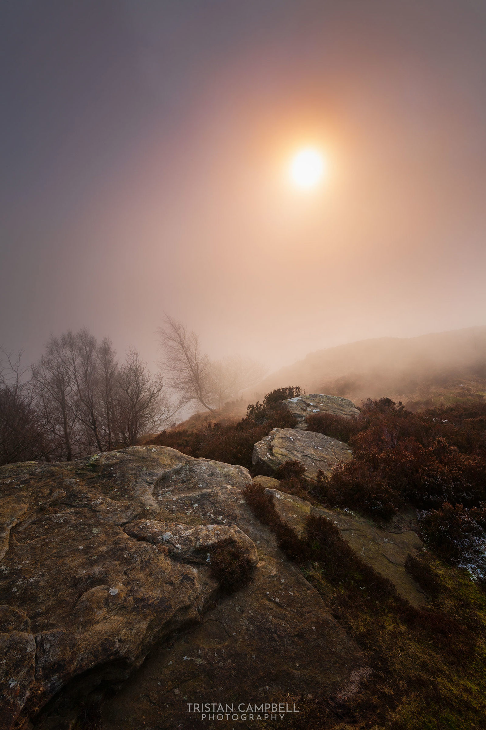 Rocky landscape with large boulders in the foreground, surrounded by patches of brownish vegetation. Bare trees are visible to the left, partially shrouded in mist. The sun is low in the sky, casting a warm glow through the fog, creating a soft and ethereal atmosphere.