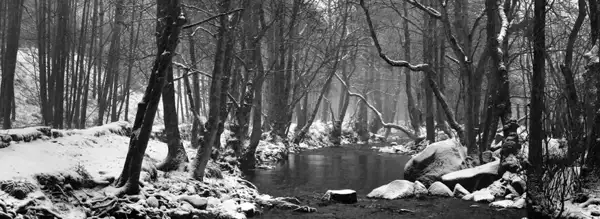 winter scene