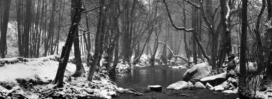 winter scene