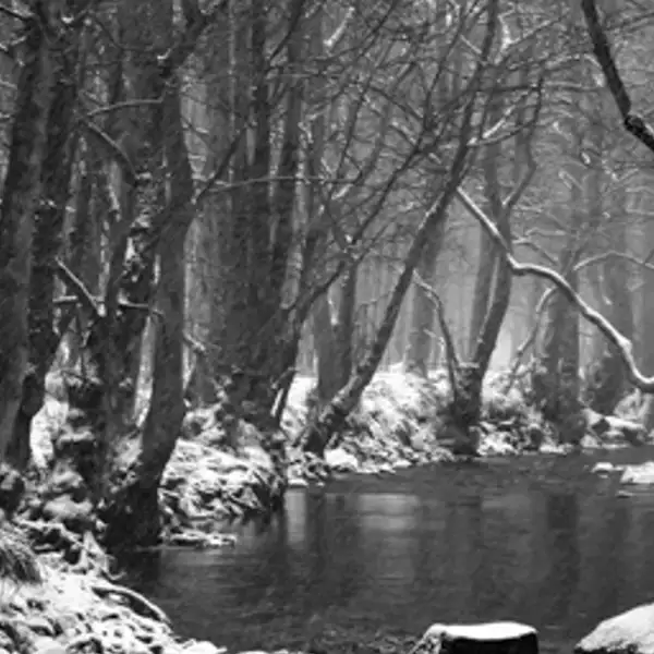 winter scene