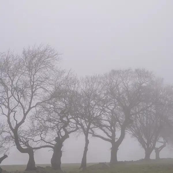 April mists