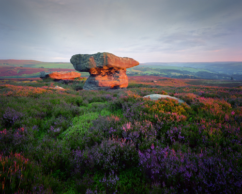 Moorland Landscapes: A striking moorland rock formation in North Yorkshire during twilight. The foremost rock resembles a table top balanced on a narrower base. Heather in bloom carpets the landscape in rich purples, while the background fades into soft layers of distant hills under a calming dusky sky. a field of flowers with a rock in the background