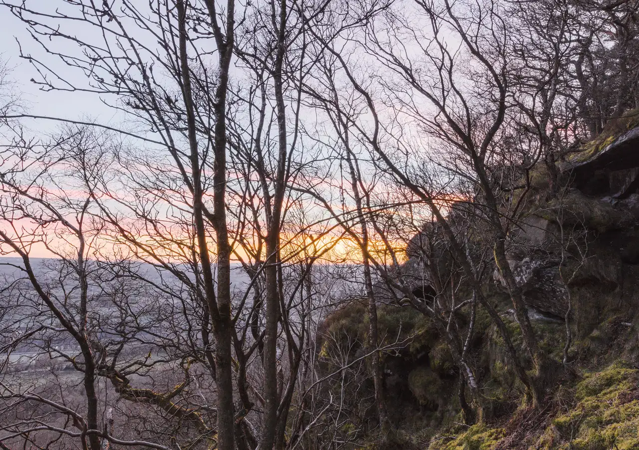 Bare trees with tangled branches silhouetted against a colourful sunset sky, with hues of orange and pink. The landscape below is a mix of rocky terrain and patches of moss-covered ground.